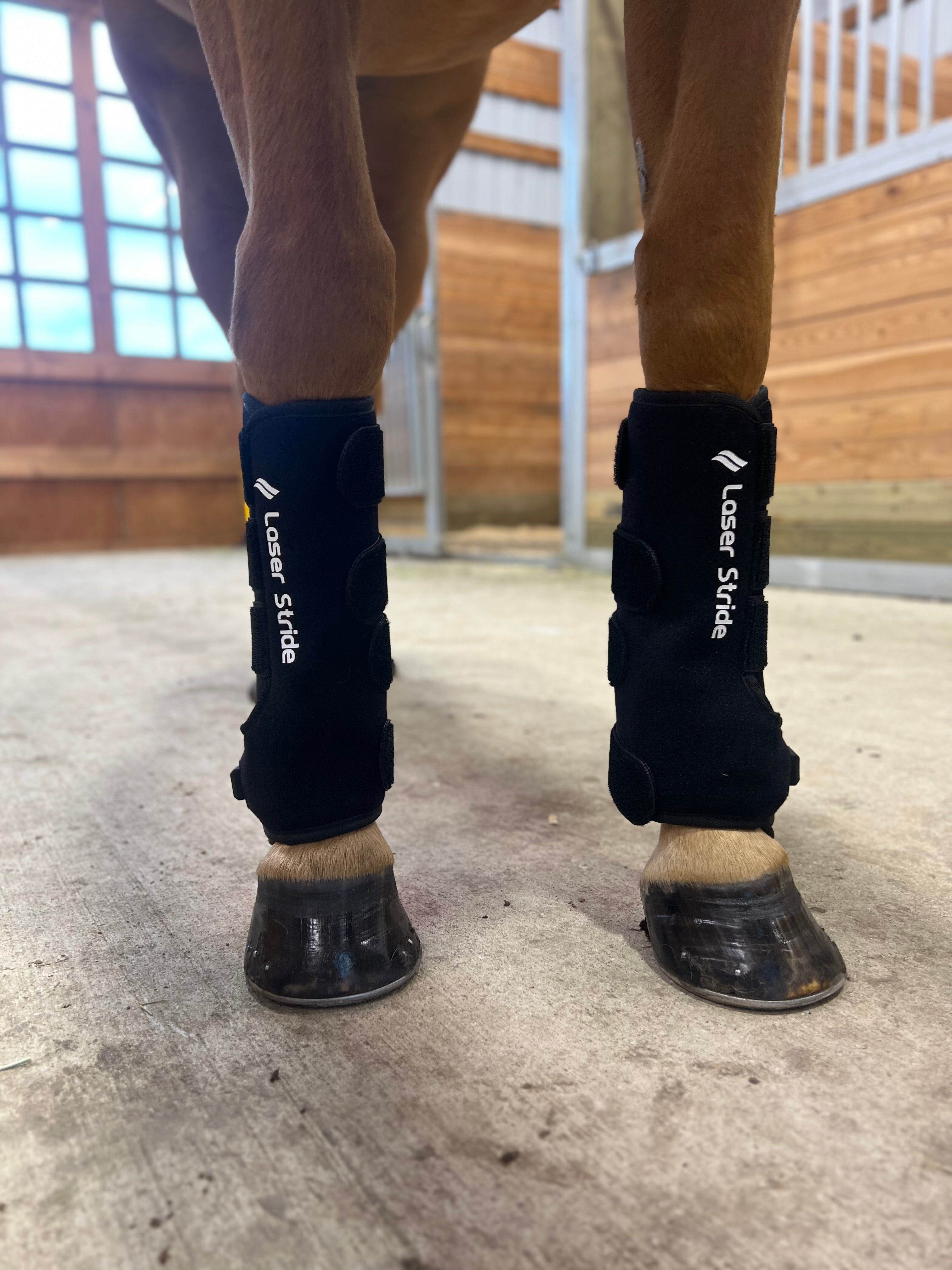 horse wearing laser stride cold therapy boots