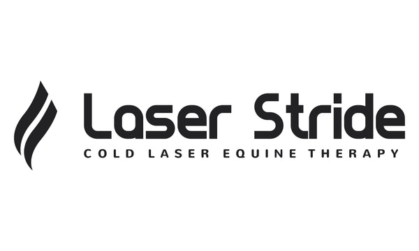 cold laser equine therapy